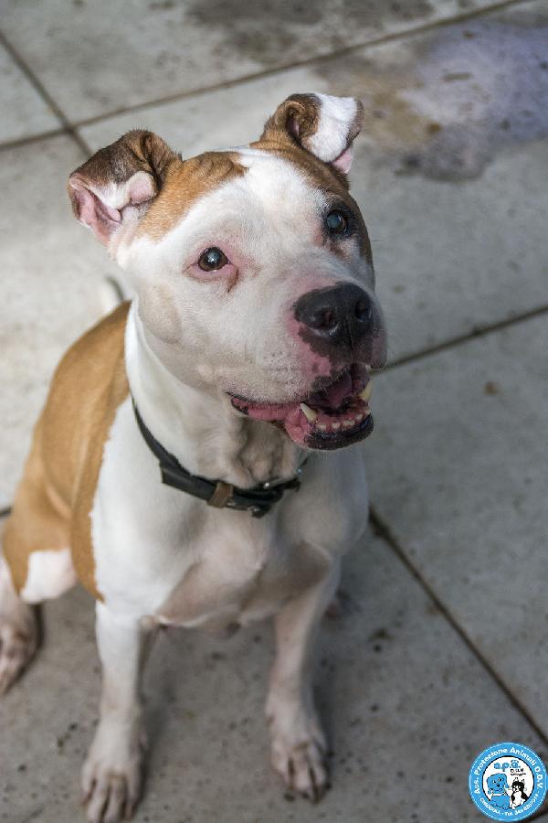 Molly, una casa per gli anni più preziosi Foto 6